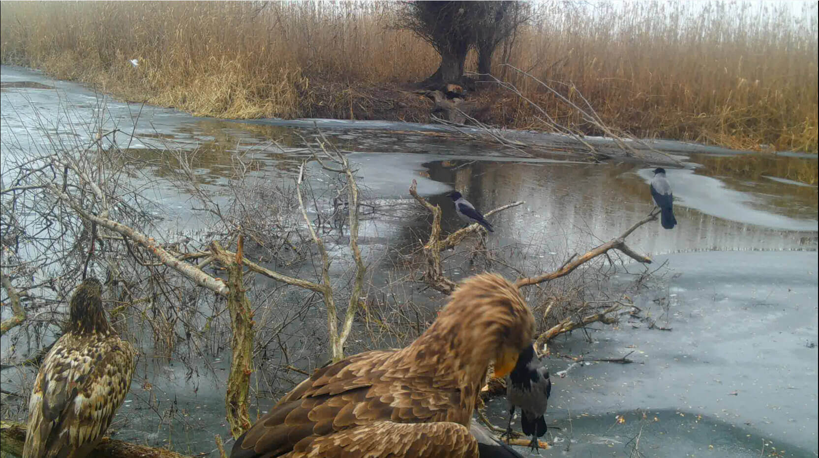 Снимок экрана (15) (1)