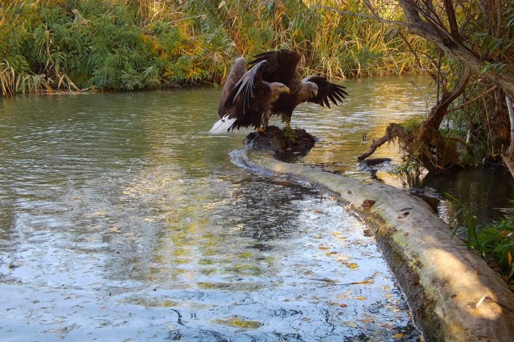 STC_0115.MOV_snapshot_00.13.000