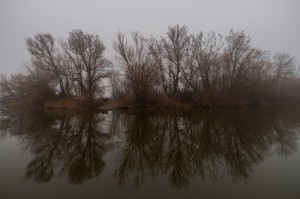 Туман на Обжорово.                
