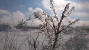 Зимний пейзаж на Дамчикском участке                 