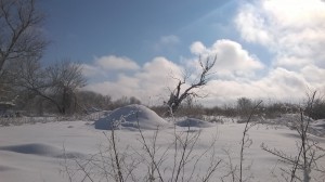 Зимний пейзаж на Дамчикском участке                  