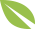 tree-slideshow-leaf-4.png